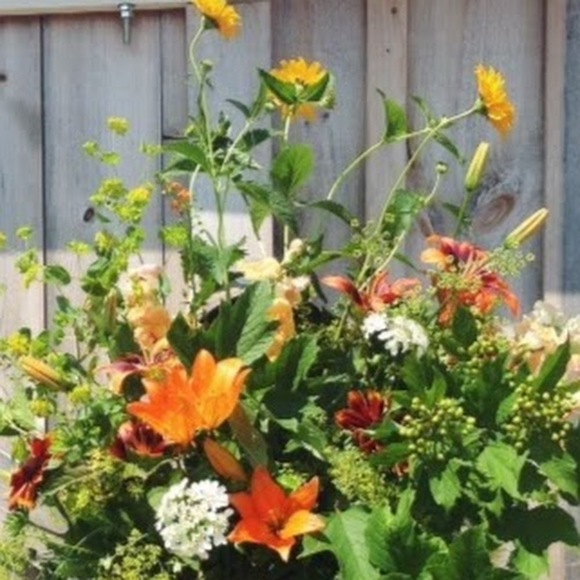 Meet your Posher, Arla - Picture 1 of 1